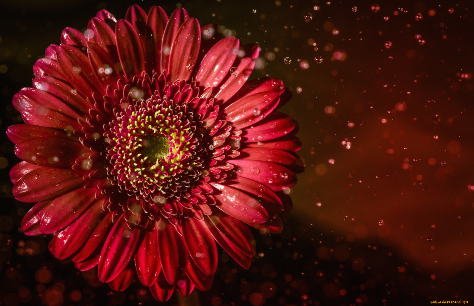, , , , 